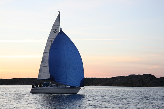 Hanse 301 — Vedi foto 1