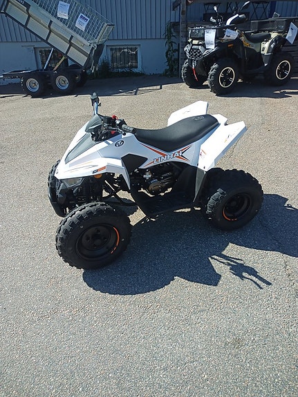 Linhai 110 EFI 3 of 5