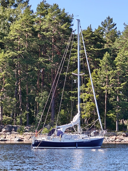 Laurinkoster L28 — View photo 1