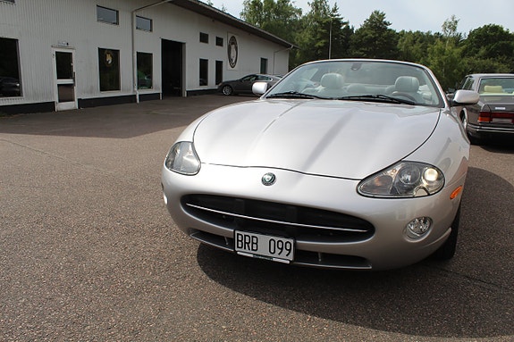 Jaguar XK 5 of 5