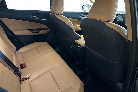 Lexus NX450h+ 12 of 20