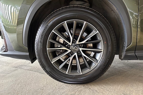 Lexus NX450h+ 18 of 20