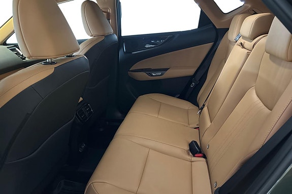 Lexus NX450h+ 11 of 20