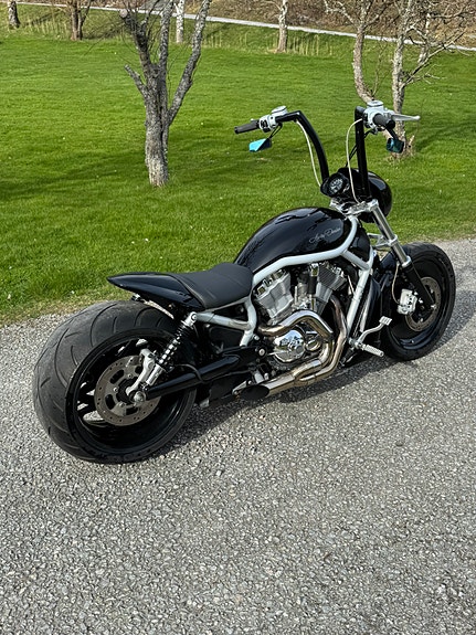 Harley-Davidson VRSCA V-Rod 5 of 5