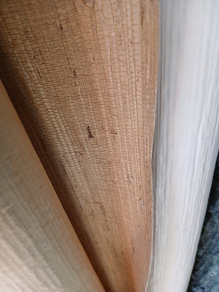 Product image 19 of 23