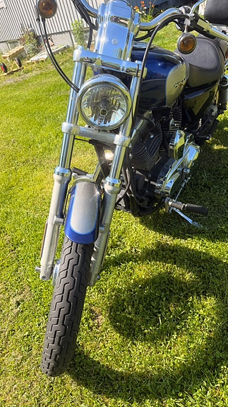 Harley-Davidson 1200 Custom 2 of 5