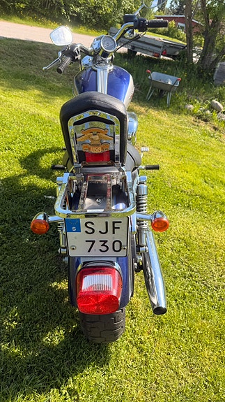 Harley-Davidson 1200 Custom 4 of 5