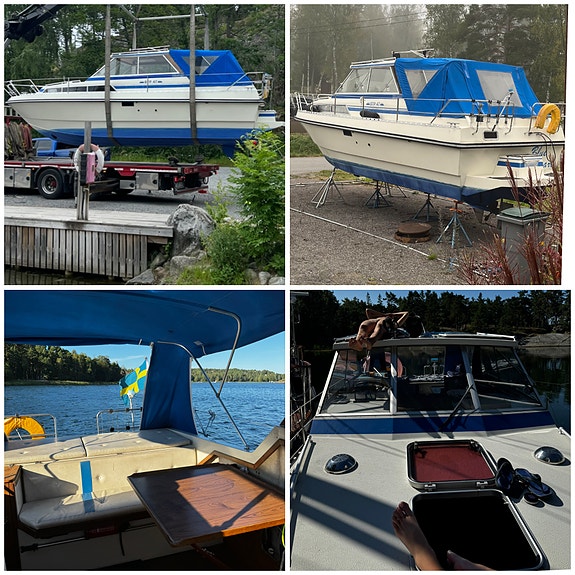 Vår älskade Nimo 27 söker ny familj! 2 of 6