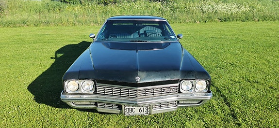 Buick Electra 225 2 of 5