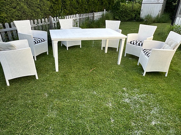 Product image 8 of 19