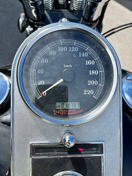 Harley-Davidson Springer Classic 3 of 3