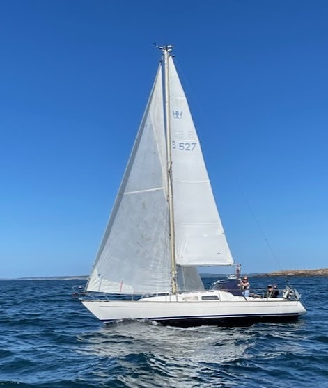 KING'S CRUISER 29 — Vedi foto 1