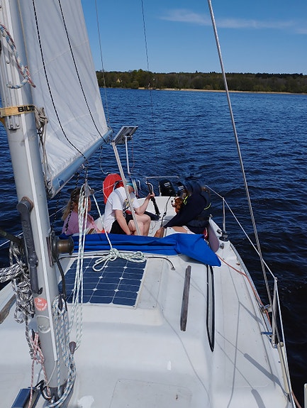 Albin Viggen med vagn 2 of 12
