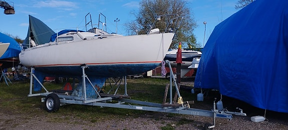 Albin Viggen med vagn 8 of 12