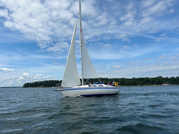 Mamba 29 — Vedi foto 1
