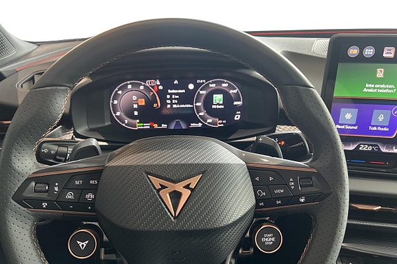 Cupra Terramar 16 of 18