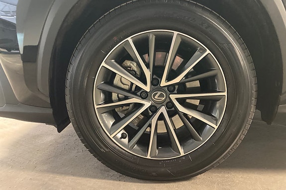 Lexus NX450h+ 14 of 23