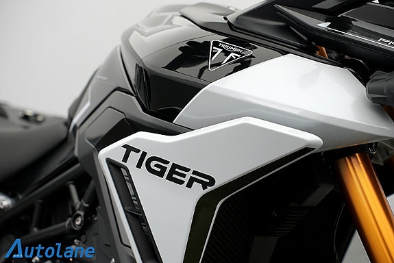 Triumph Tiger 900 Rally Pro *Farthållare, Väskor, Quickshifter 22 of 25