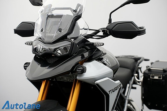 Triumph Tiger 900 Rally Pro *Farthållare, Väskor, Quickshifter 24 of 25