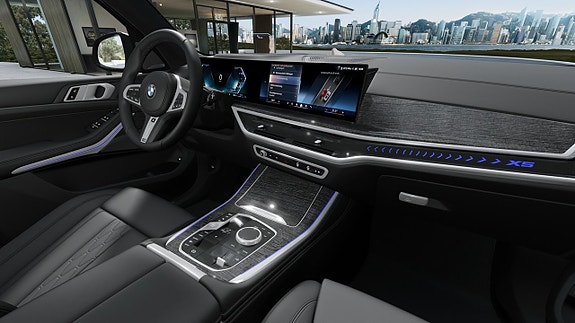 BMW X5 13 of 13