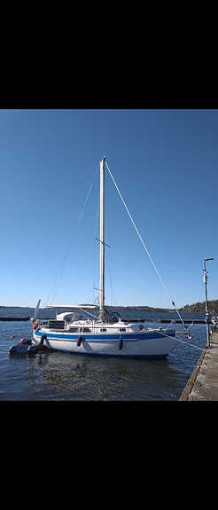 Sun Tracker Sea Eagle 31 — Vedi foto 1