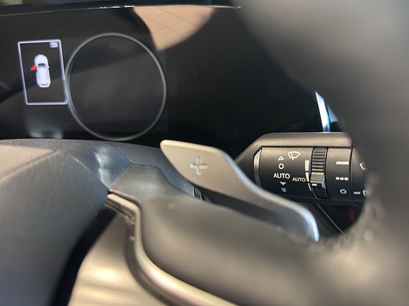 Lexus NX350h 20 of 25