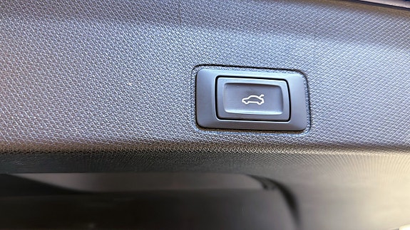 Cupra Terramar 14 of 21