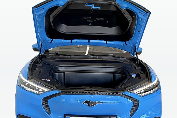 Ford Mustang Mach-E 15 of 17