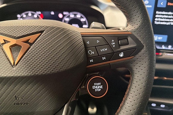 Cupra Terramar 17 of 27