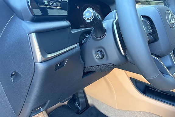 Lexus RZ300e 22 of 24