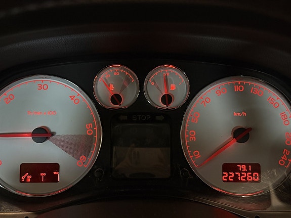 Peugeot 307 13 of 18