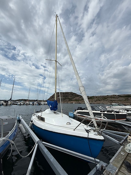 Hydra 20 — Vedi foto 1