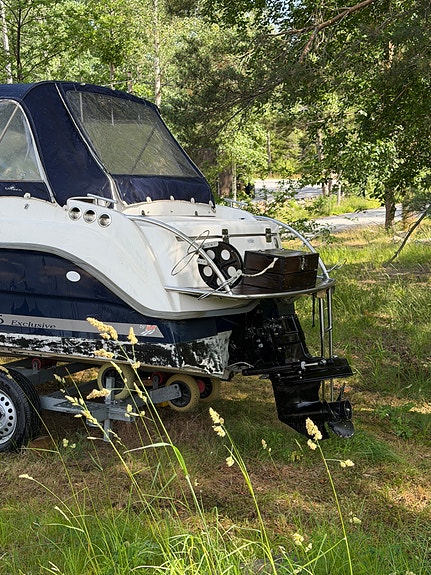 Uttern D55 Exclusive -06 3 of 10