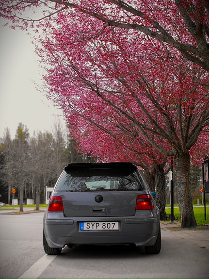 Volkswagen Golf IV 4 of 5