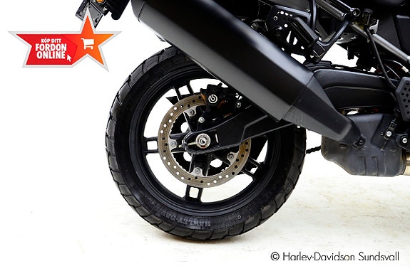 Harley-Davidson Pan-America 1250 *Hemleverans* 5 of 10