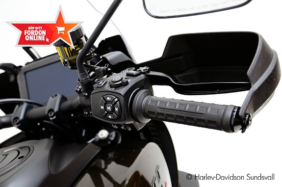 Harley-Davidson Pan-America 1250 *Hemleverans* 9 of 10