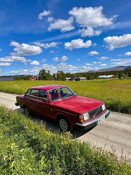 Volvo 244 3 of 5