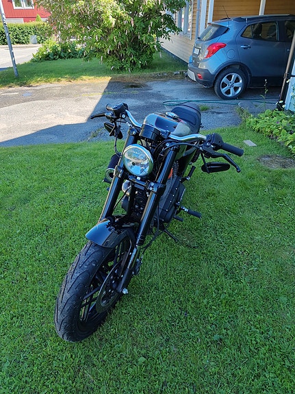 Harley-Davidson Roadster XL1200CX 3 of 3