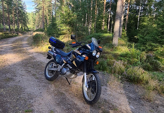 Yamaha XTZ660 Ténére - mycket välvårdad, endast 2300 mil 2 of 9