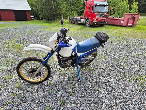 Suzuki 8 of 8