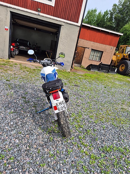 Suzuki 7 of 8