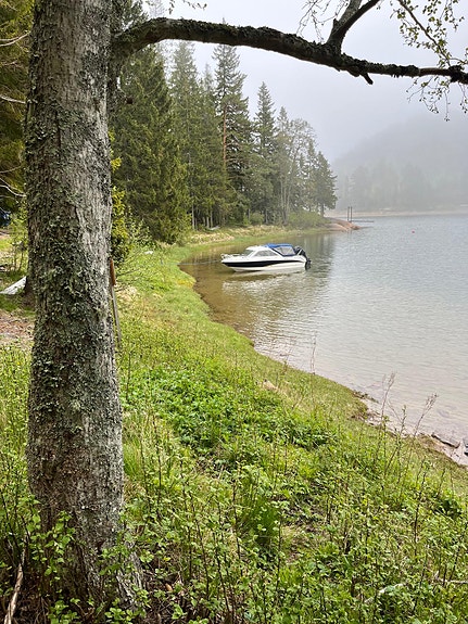 Bella 560 HT från 2011 med Mercury 80 hk motor och bromsad 80-släpvagn 2 of 5