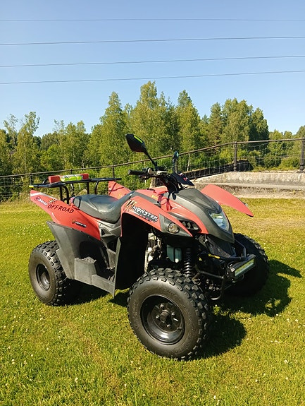 Adly Adly 280 atv quad vägreggad mc Besiktas B-kort 6 of 11