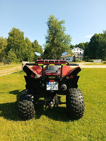 Adly Adly 280 atv quad vägreggad mc Besiktas B-kort 2 of 11