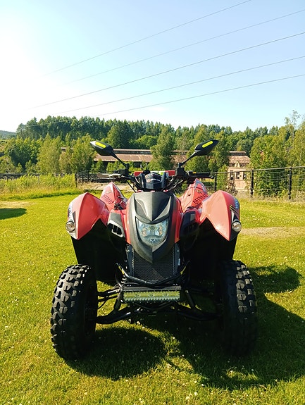Adly Adly 280 atv quad vägreggad mc Besiktas B-kort 9 of 11