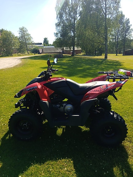 Adly Adly 280 atv quad vägreggad mc Besiktas B-kort 8 of 11