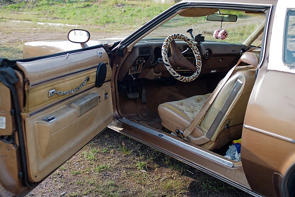 Oldsmobile Cutlass 5 of 5