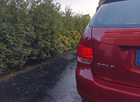 Volkswagen Golf V 14 of 18