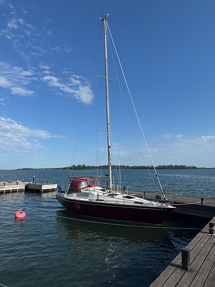 Scampi 30 — Vedi foto 1