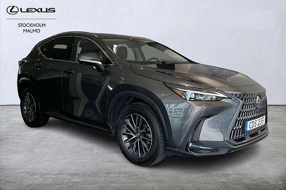 Lexus NX350h 4 of 5